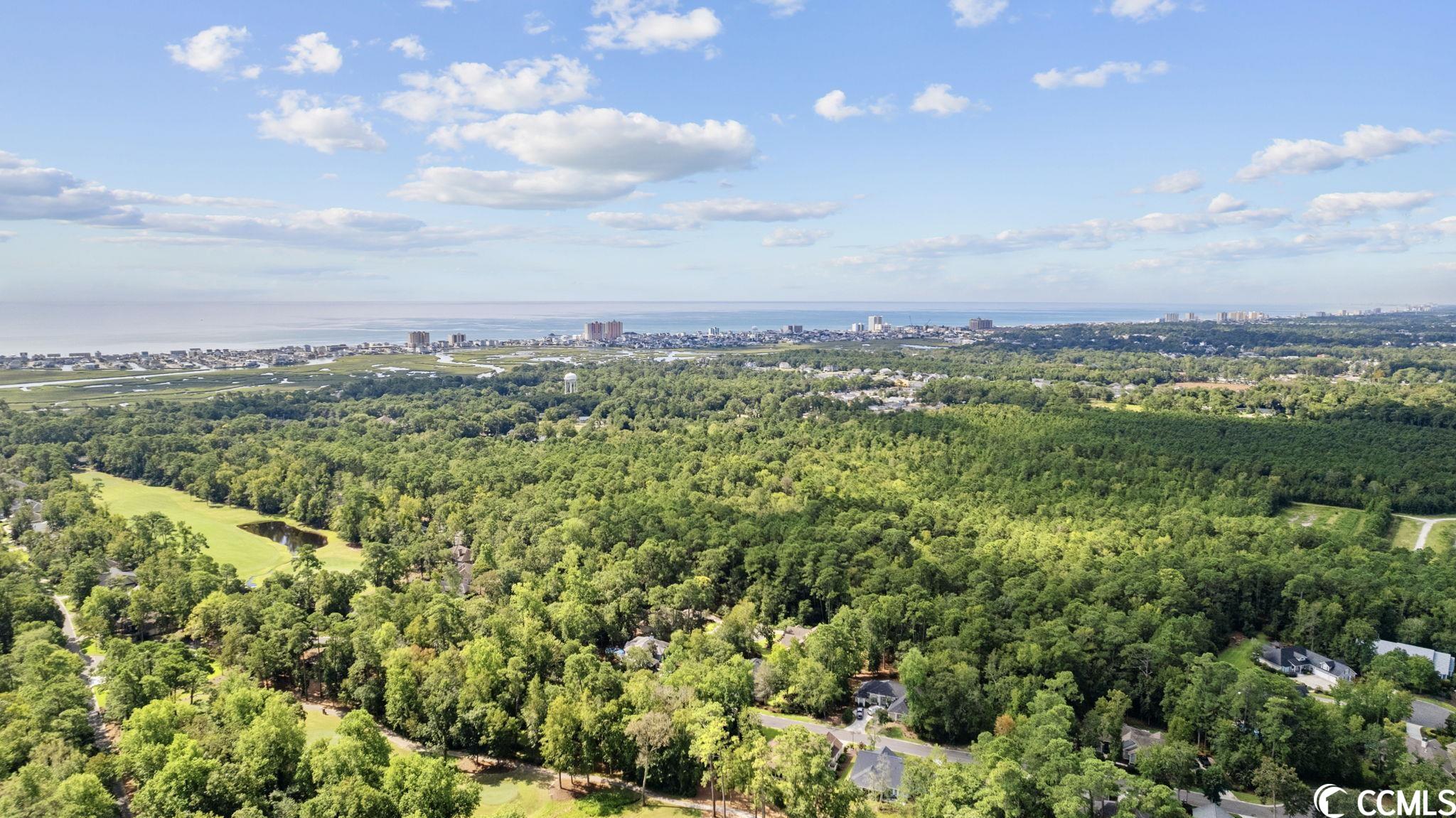 Victoria Falls Lane North Myrtle Beach, SC 29582 - Photo 13 of 26