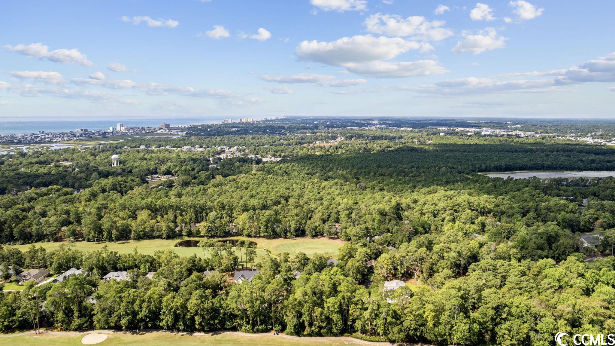 Victoria Falls Lane North Myrtle Beach, SC 29582 - Photo 14 of 26
