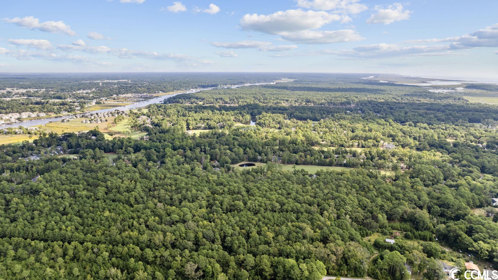 Victoria Falls Lane North Myrtle Beach, SC 29582 - Photo 17 of 26