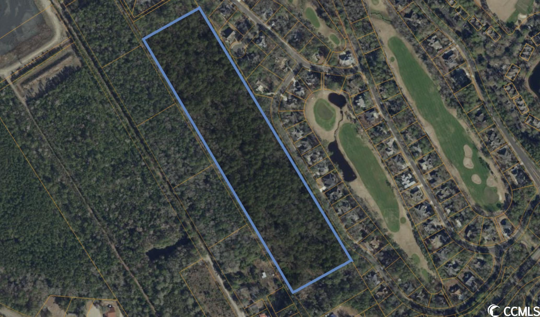 Victoria Falls Lane North Myrtle Beach, SC 29582 - Photo 4 of 26