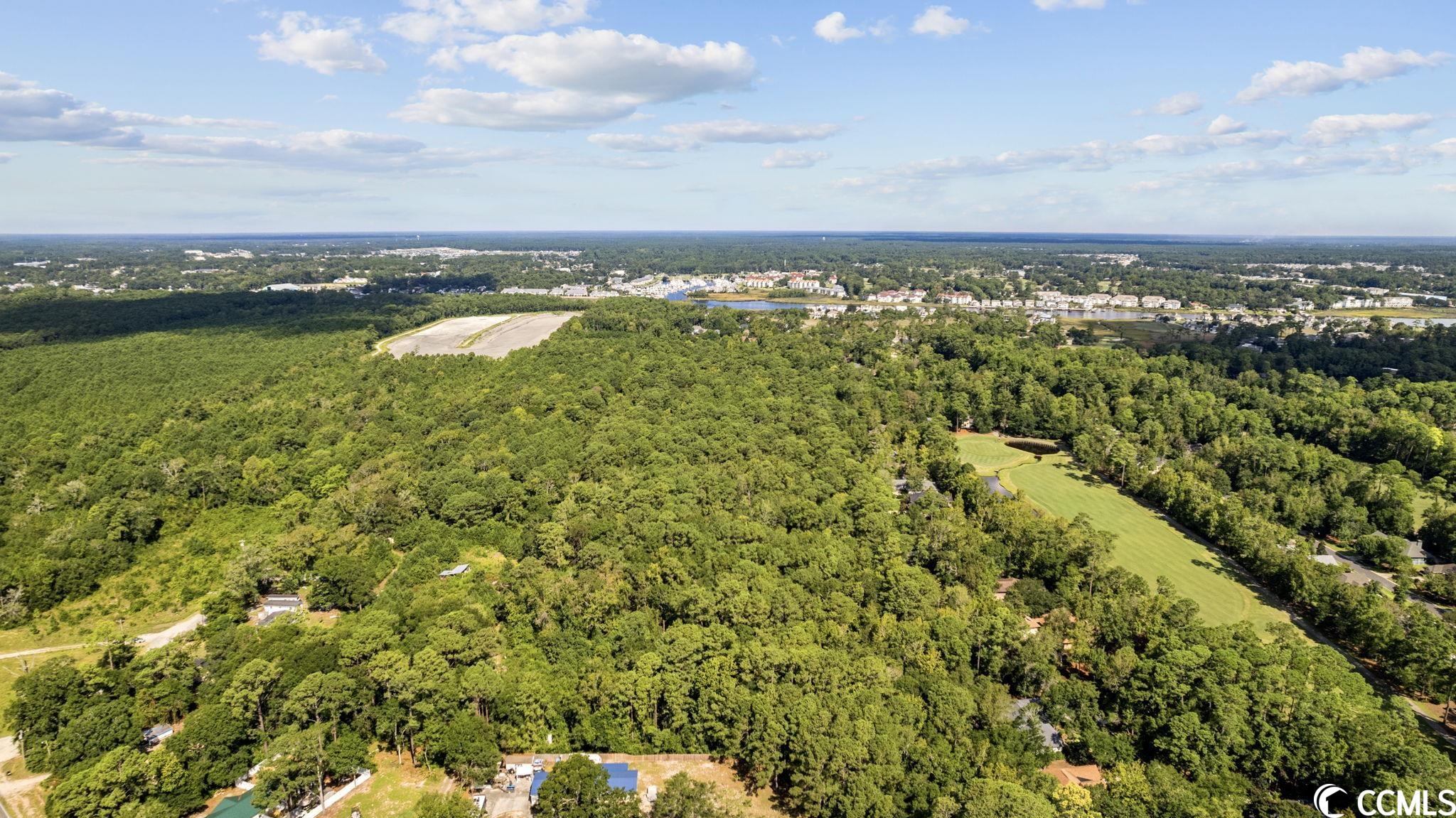 Victoria Falls Lane North Myrtle Beach, SC 29582 - Photo 9 of 26