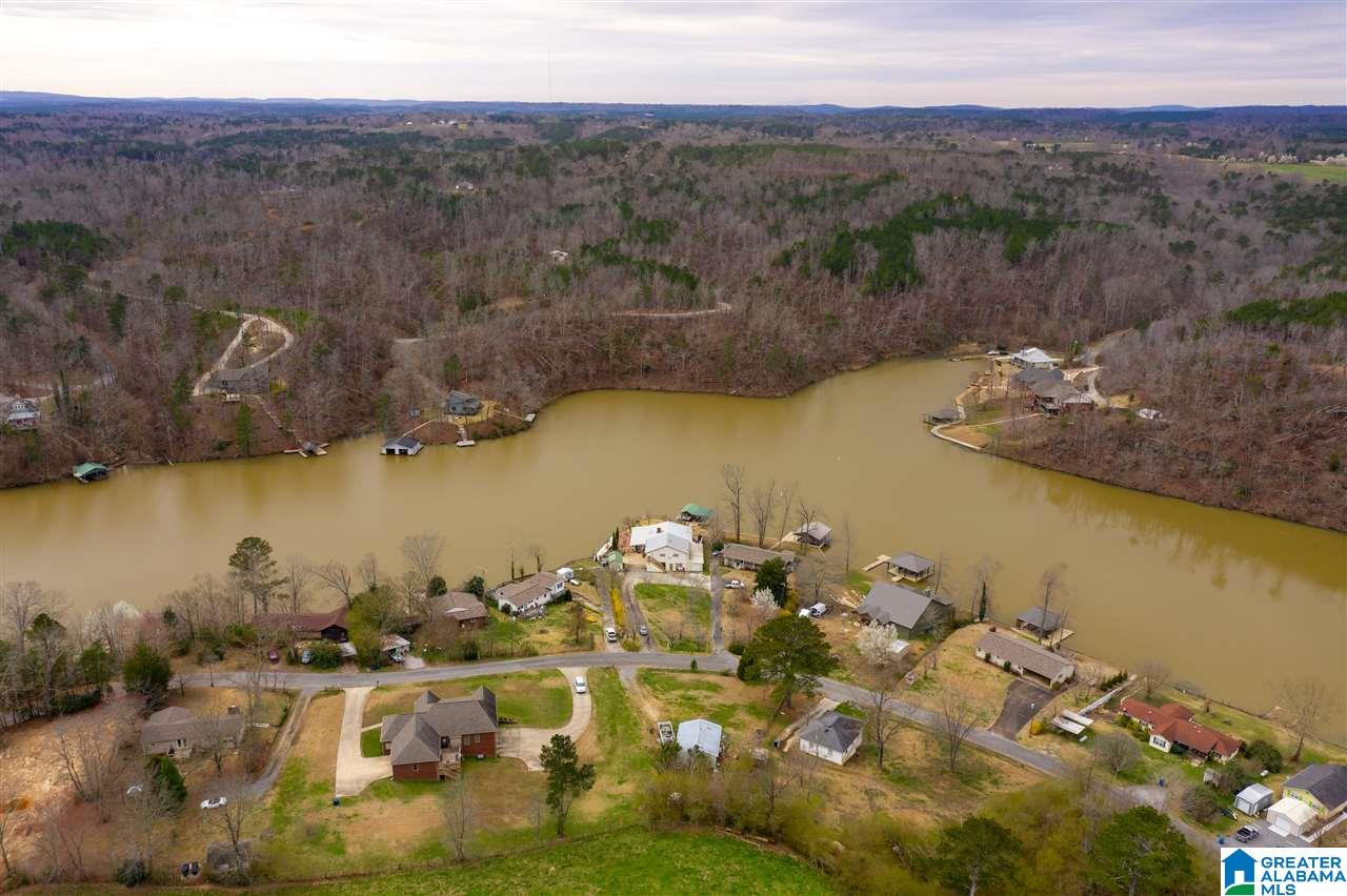 282 Lakeshore Lane Oneonta, AL 35121 - Photo 5 of 46