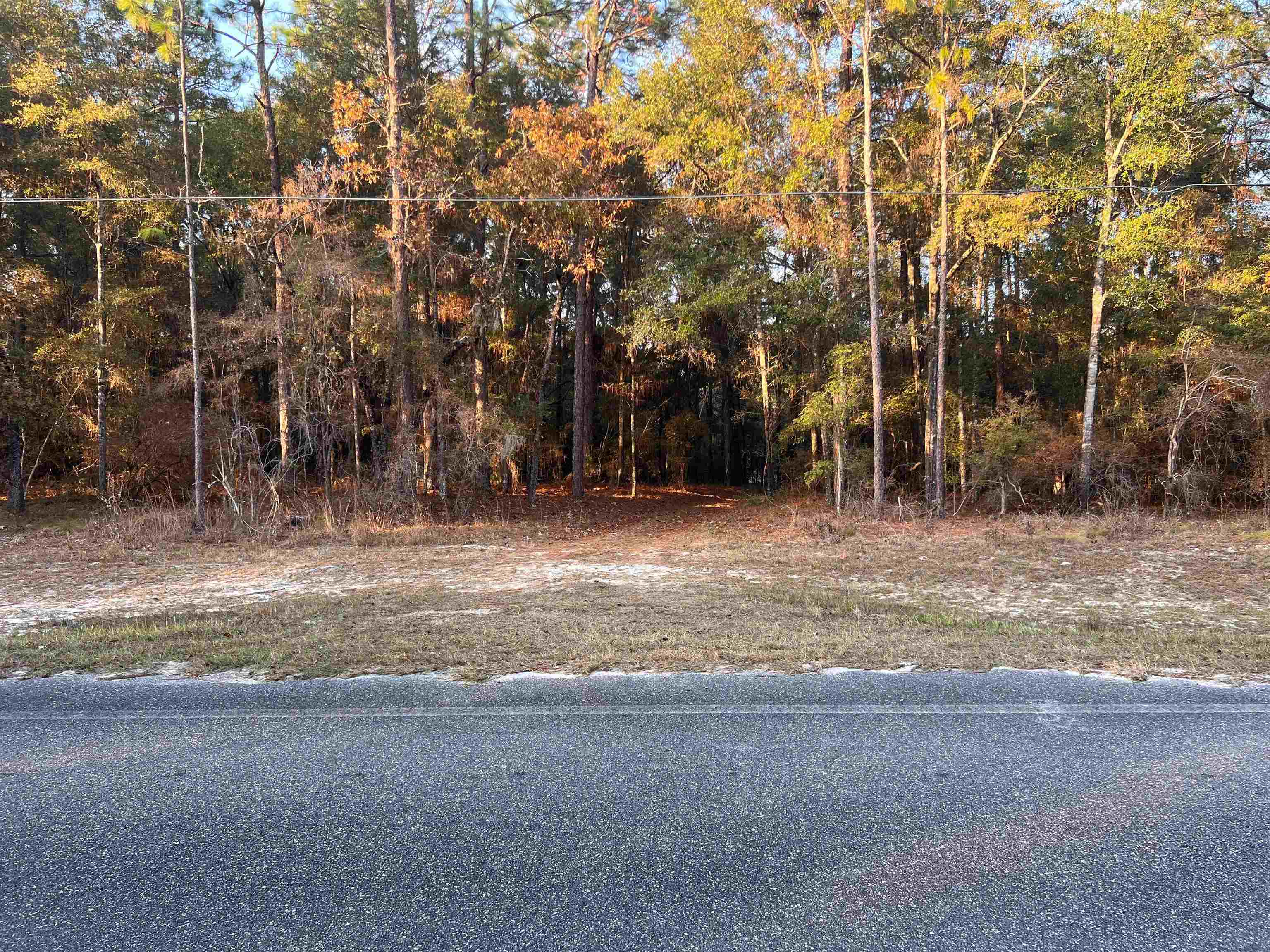 520 New Light Church Road Crawfordville, FL 32327 - Photo 18 of 18