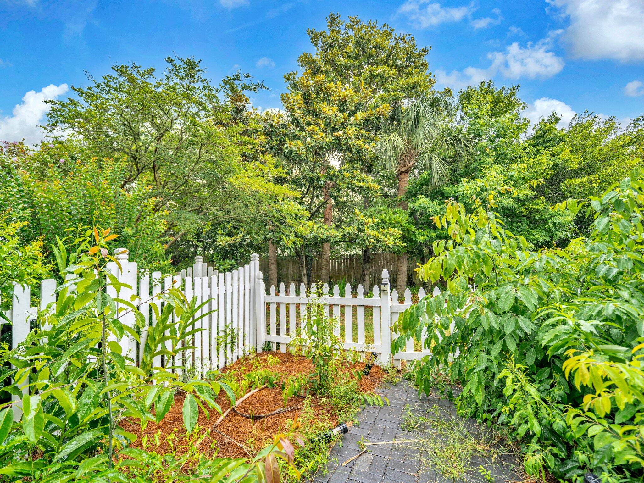 50 Gossamer Lane, Unit 10 Inlet Beach, FL 32461 - Photo 25 of 46 a view of a garden with plants