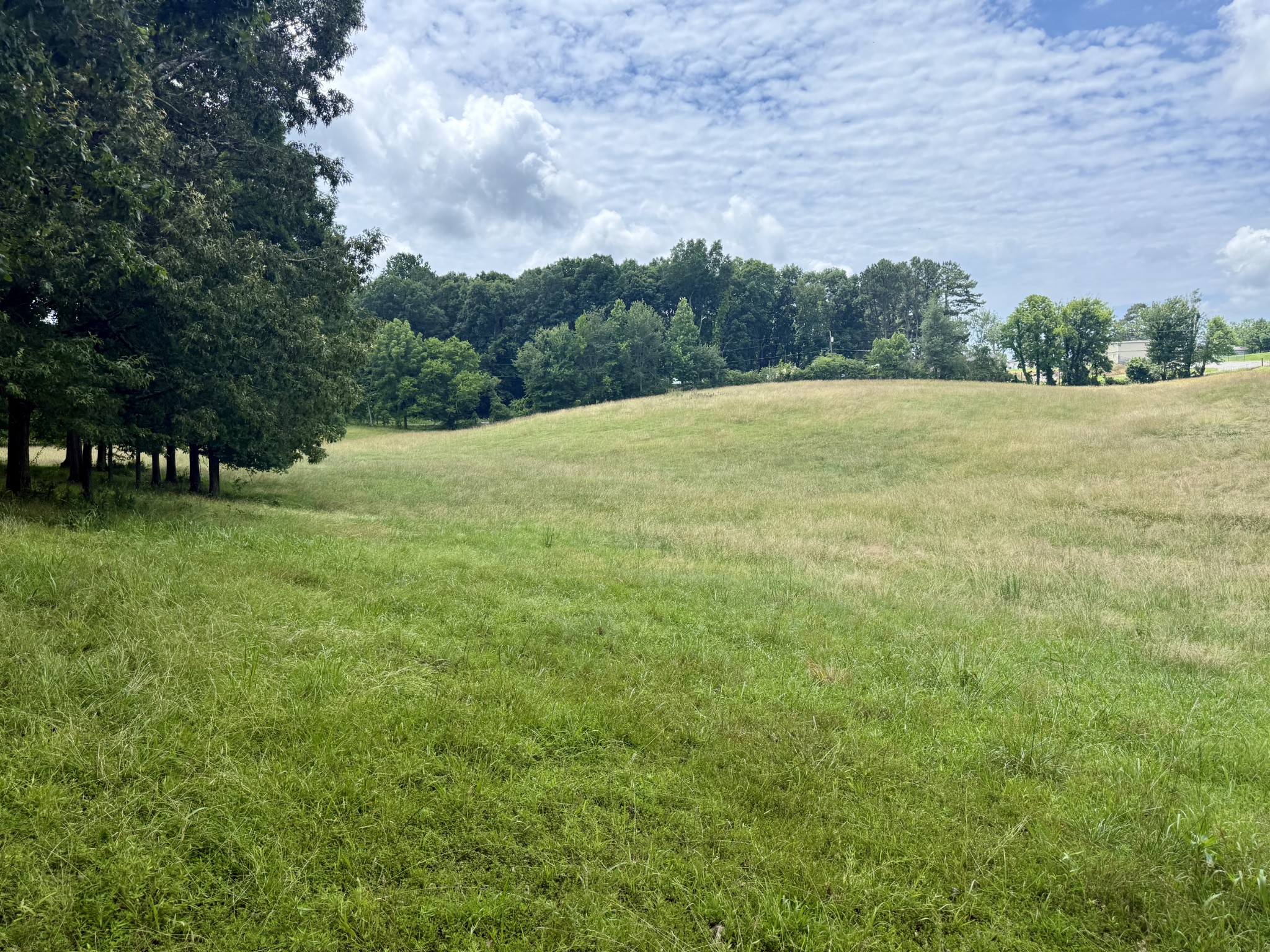 0 Crowder Road Lawrenceburg, TN 38464 - Photo 1 of 58
