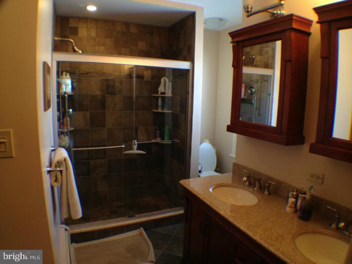 110 East Park Road Havertown, PA 19083 - Photo 13 of 24 Bathroom