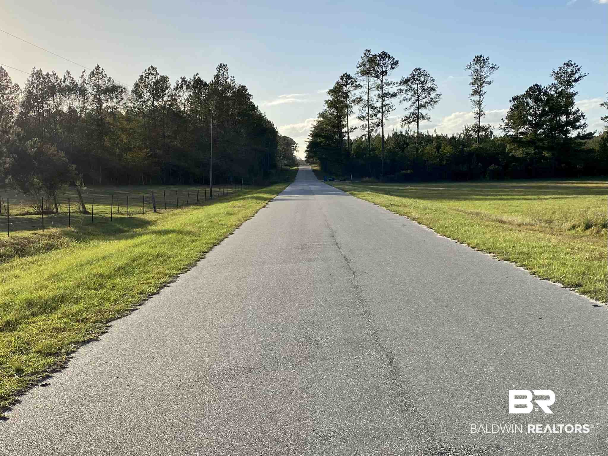 0 Country Road Fruitdale, AL 36539 - Photo 46 of 47