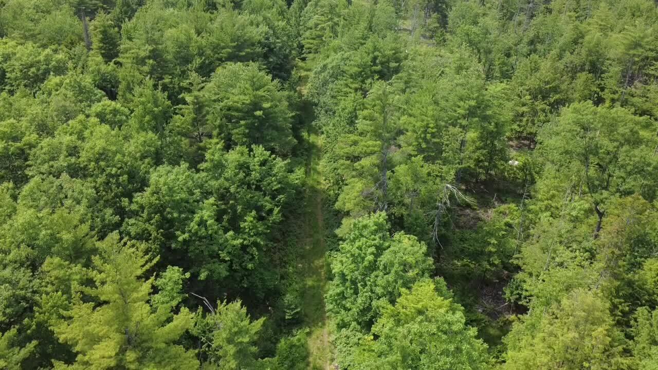 R03 054m/k Off Bean Road Otisfield, ME 04270 - Photo 7 of 32 Klip Video Still 2026-07-05 0855am