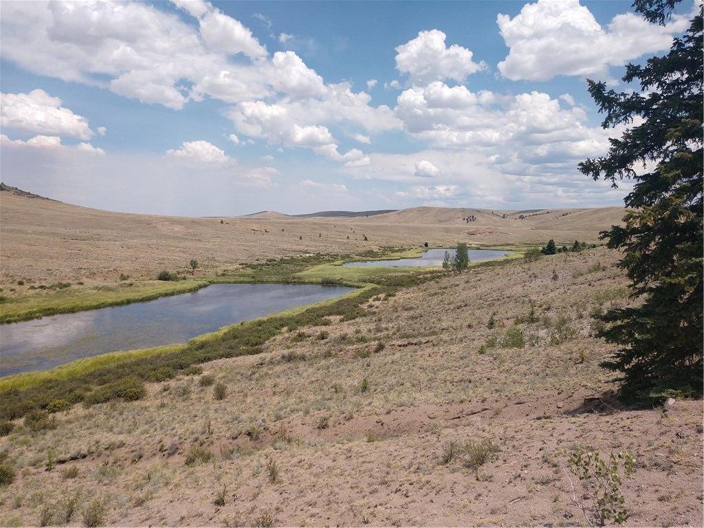 237 McMurry Road Hartsel, CO 80449 - Photo 9 of 15 Gallery Image 9