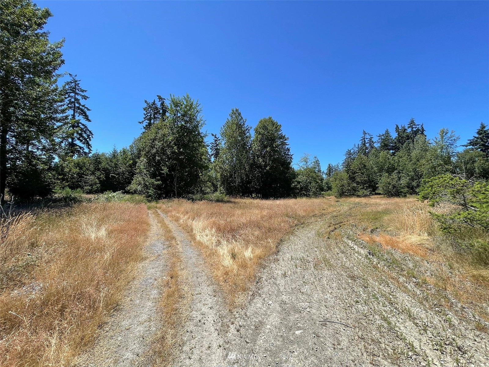 0 West 8th Street Port Angeles, WA 98363 - Photo 13 of 40 a view of a dry yard with trees