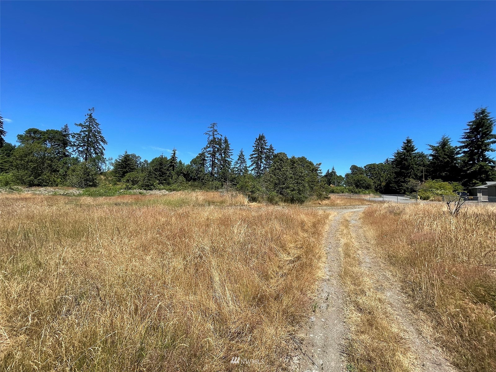 0 West 8th Street Port Angeles, WA 98363 - Photo 14 of 40 a view of a yard with a tree