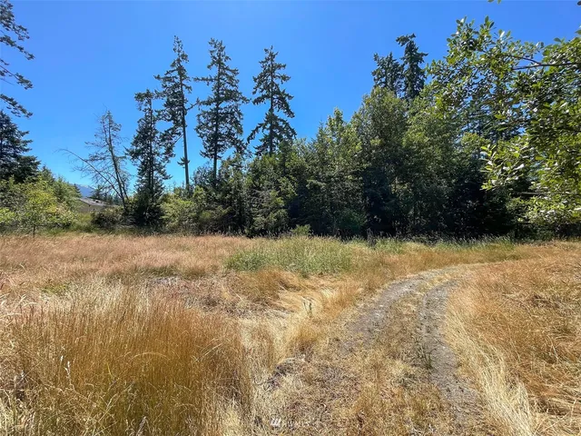 a view of backyard with outdoor space