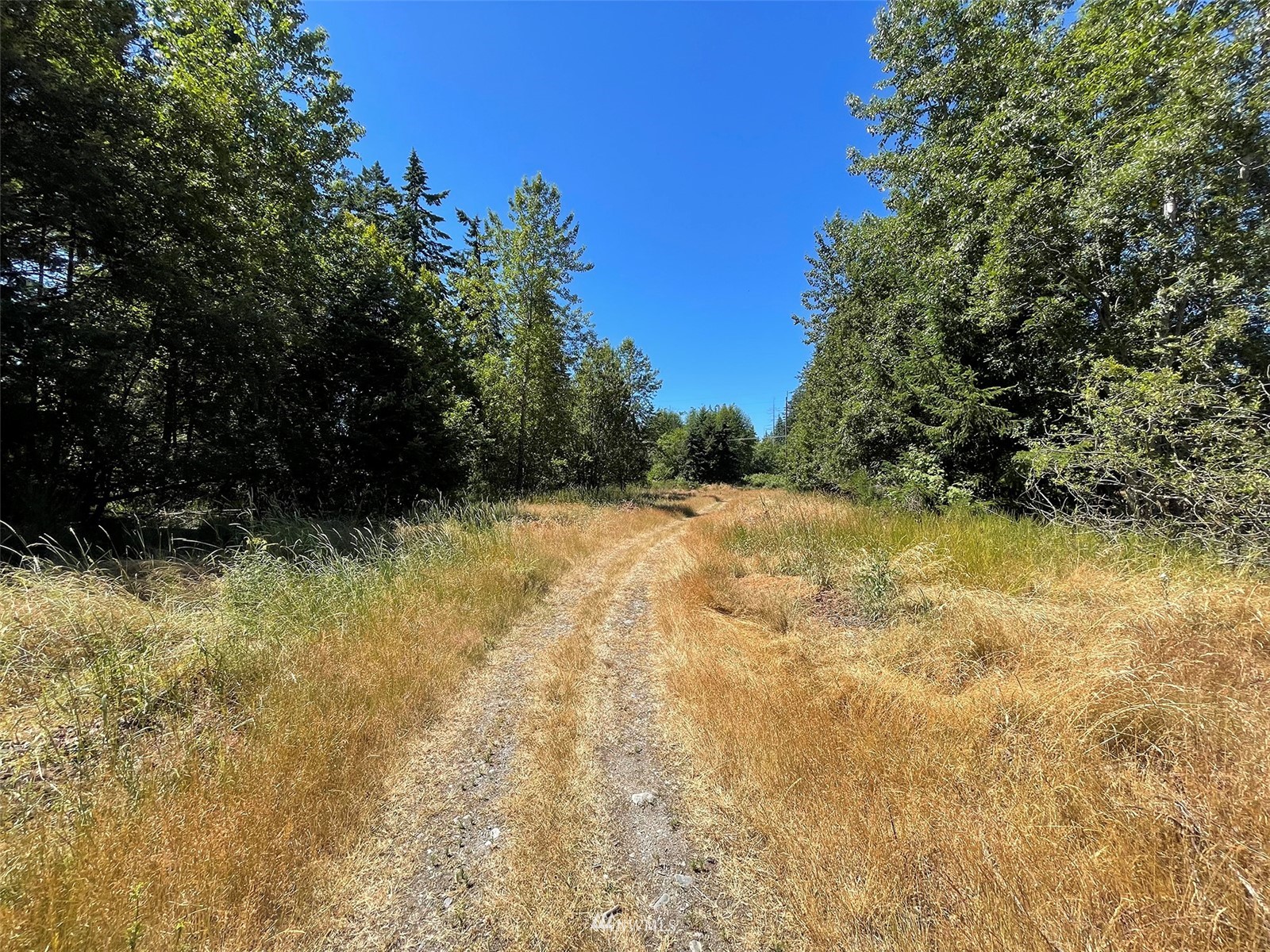 0 West 8th Street Port Angeles, WA 98363 - Photo 18 of 40 a view of yard with swimming pool and green space