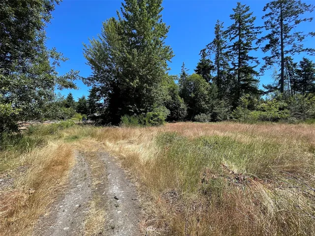 a view of backyard with green space