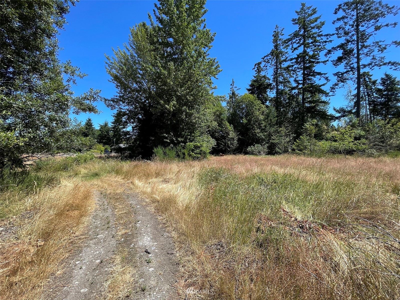 0 West 8th Street Port Angeles, WA 98363 - Photo 19 of 40 a view of backyard with green space