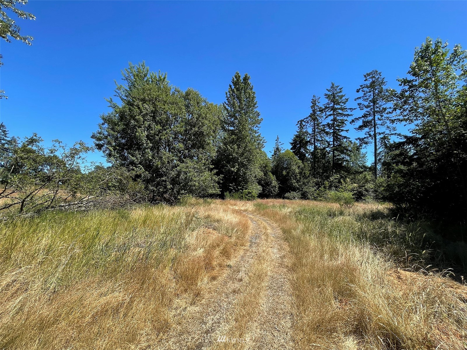0 West 8th Street Port Angeles, WA 98363 - Photo 20 of 40 a view of a yard with a tree