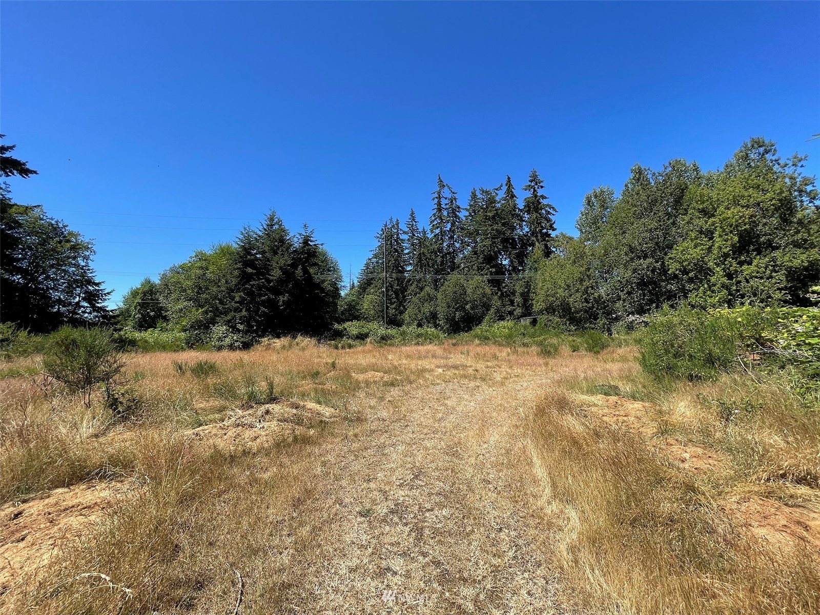 0 West 8th Street Port Angeles, WA 98363 - Photo 23 of 40 a view of a field with trees in the background