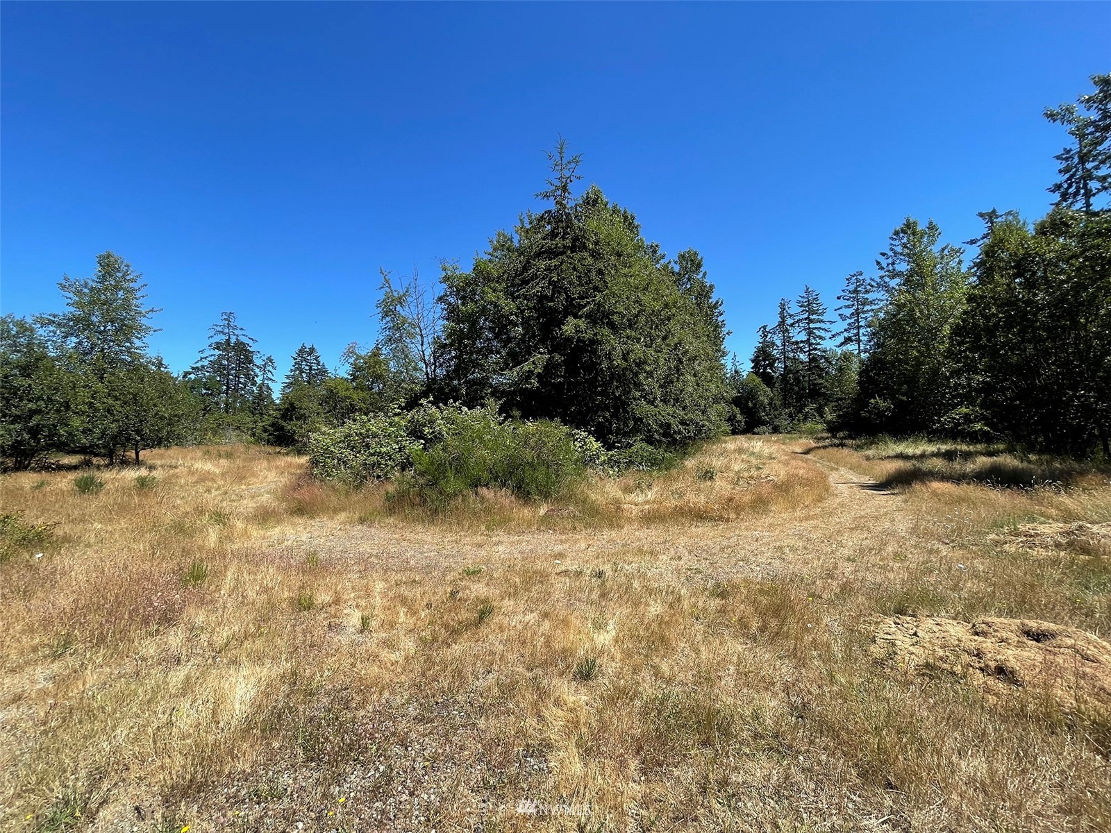 0 West 8th Street Port Angeles, WA 98363 - Photo 24 of 40 a view of a yard with a tree