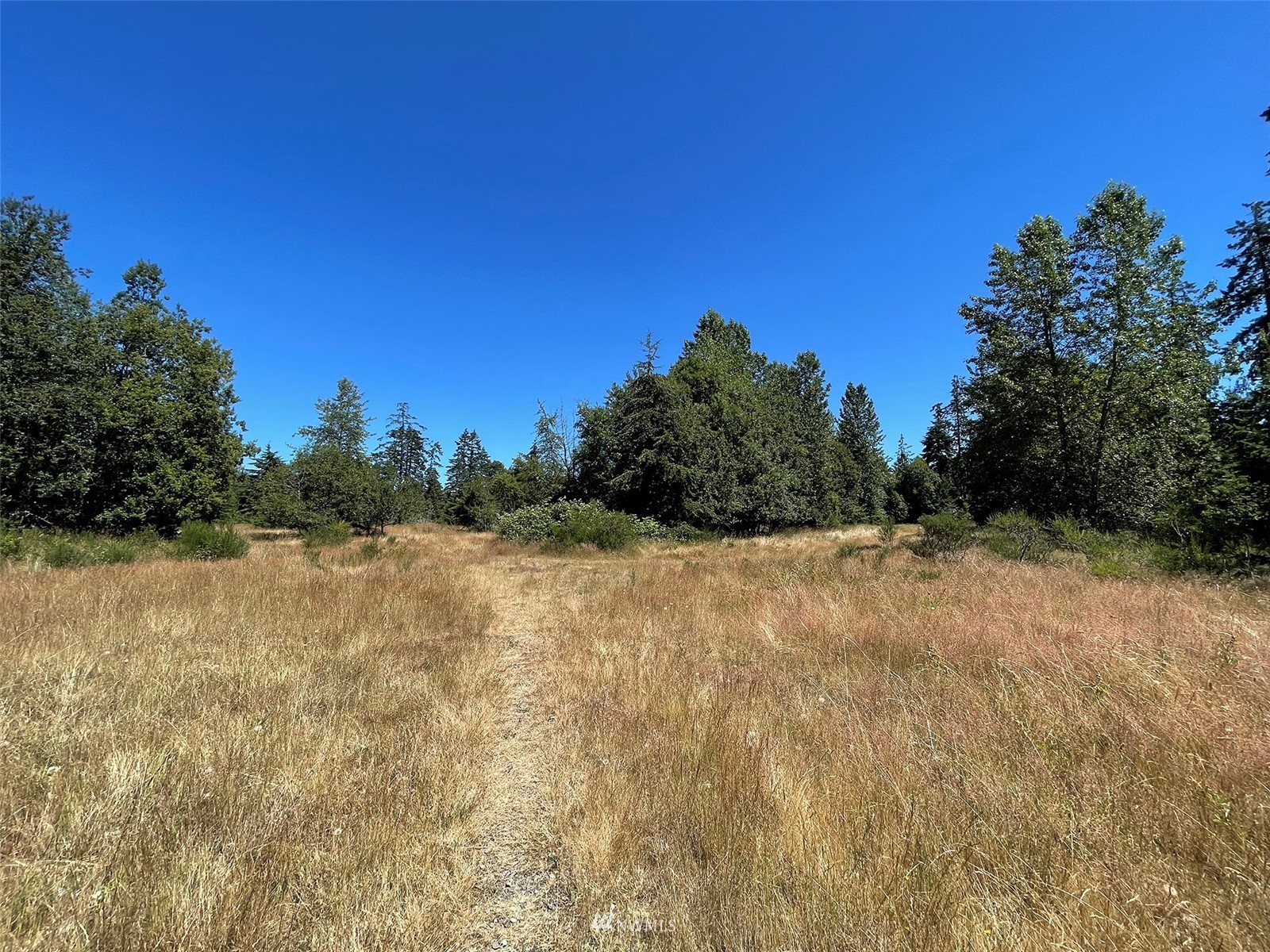 0 West 8th Street Port Angeles, WA 98363 - Photo 25 of 40 a view of a yard with a tree