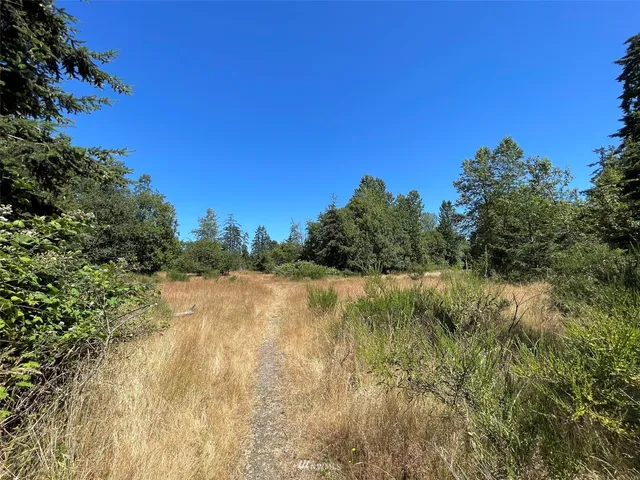 a view of lake with green space