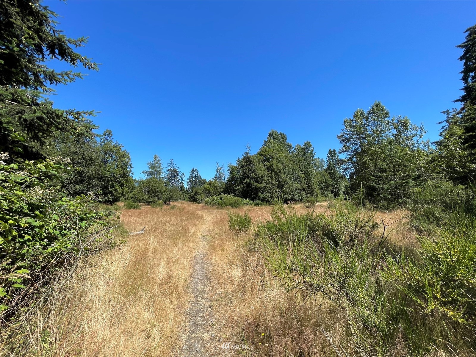 0 West 8th Street Port Angeles, WA 98363 - Photo 26 of 40 a view of lake with green space