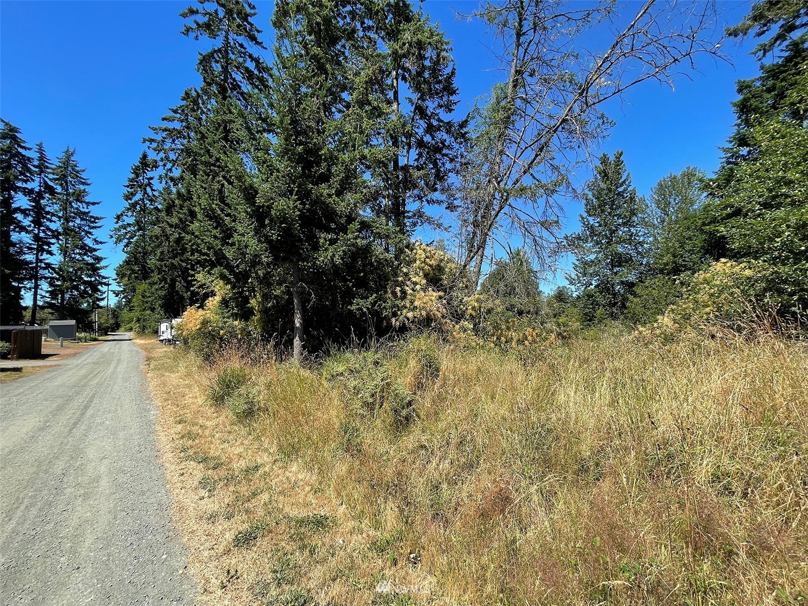 0 West 8th Street Port Angeles, WA 98363 - Photo 30 of 40 a view of a yard with plants and trees