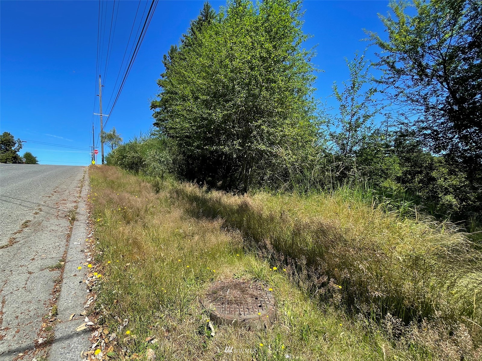 0 West 8th Street Port Angeles, WA 98363 - Photo 34 of 40 a view of a garden
