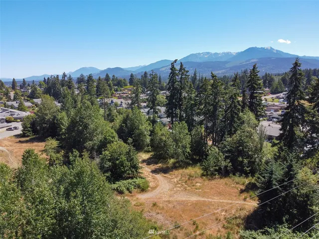 a view of a city with mountains in the background
