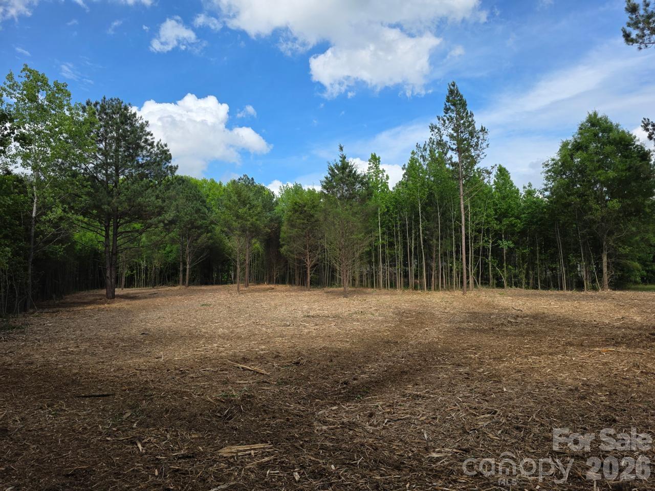 4845 Myers Road Monroe, NC 28110 - Photo 4 of 6