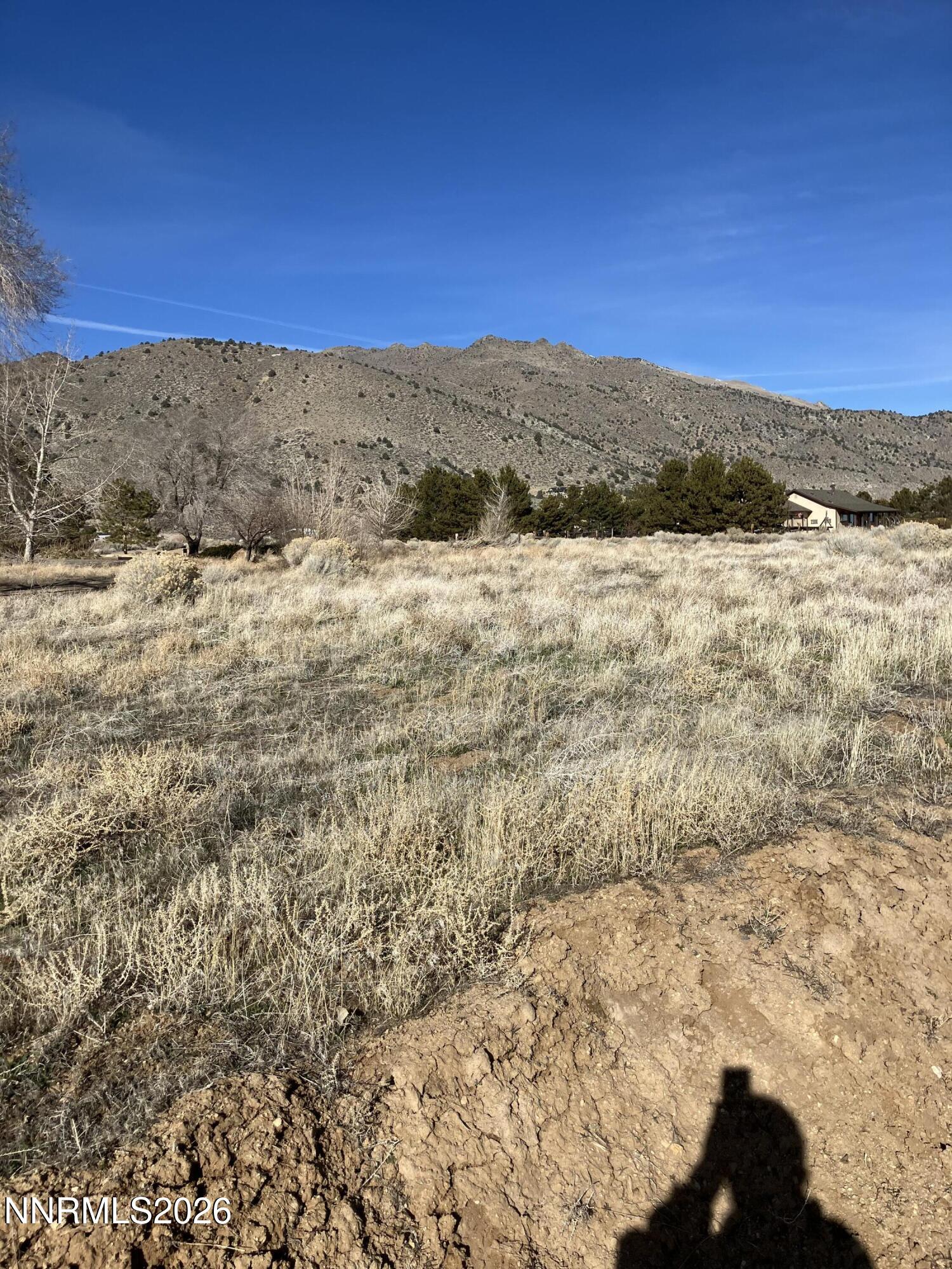 5 Pit Road Wellington, NV 89444 - Photo 28 of 38 a view of mountain view with trees
