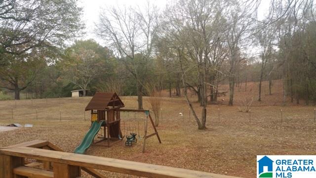 250 Nixon Road Cropwell, AL 35054 - Photo 43 of 49