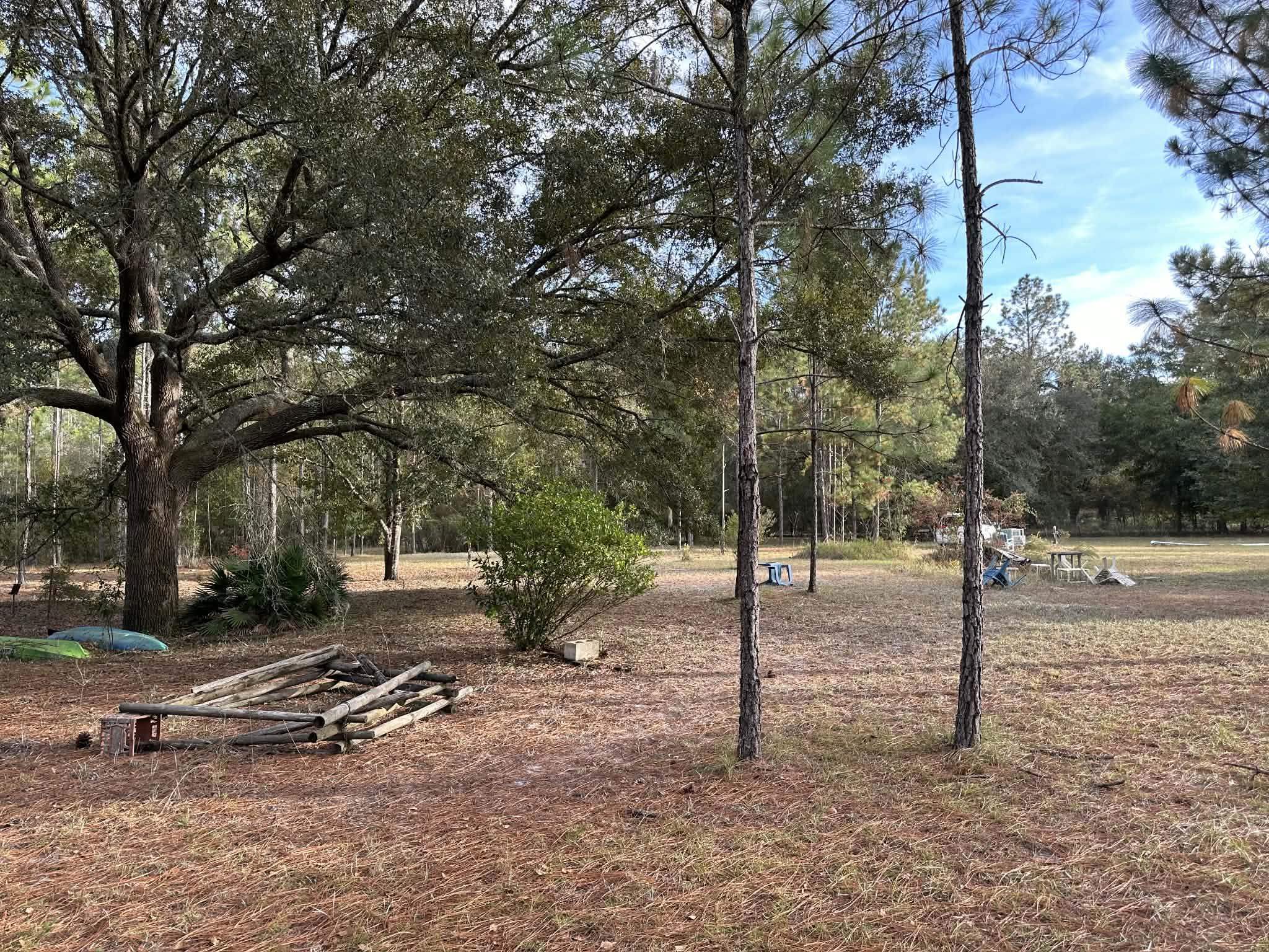 152 Sam Marks Road Crawfordville, FL 32327 - Photo 3 of 18 Gallery Image 3