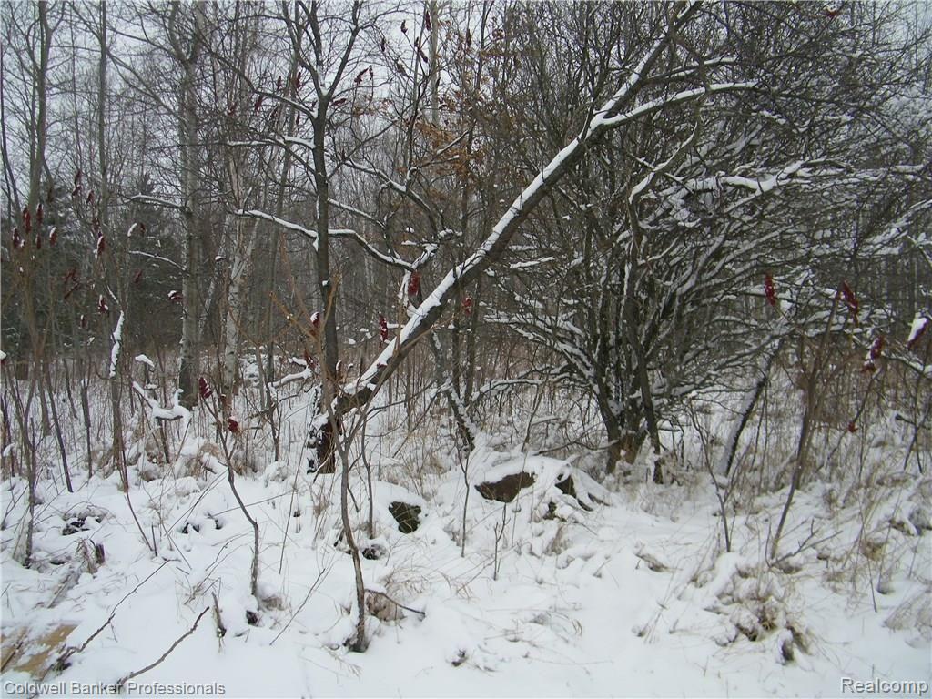 Par E Schlaud Road North Branch, MI 48461 - Photo 6 of 6 Gallery Image 6