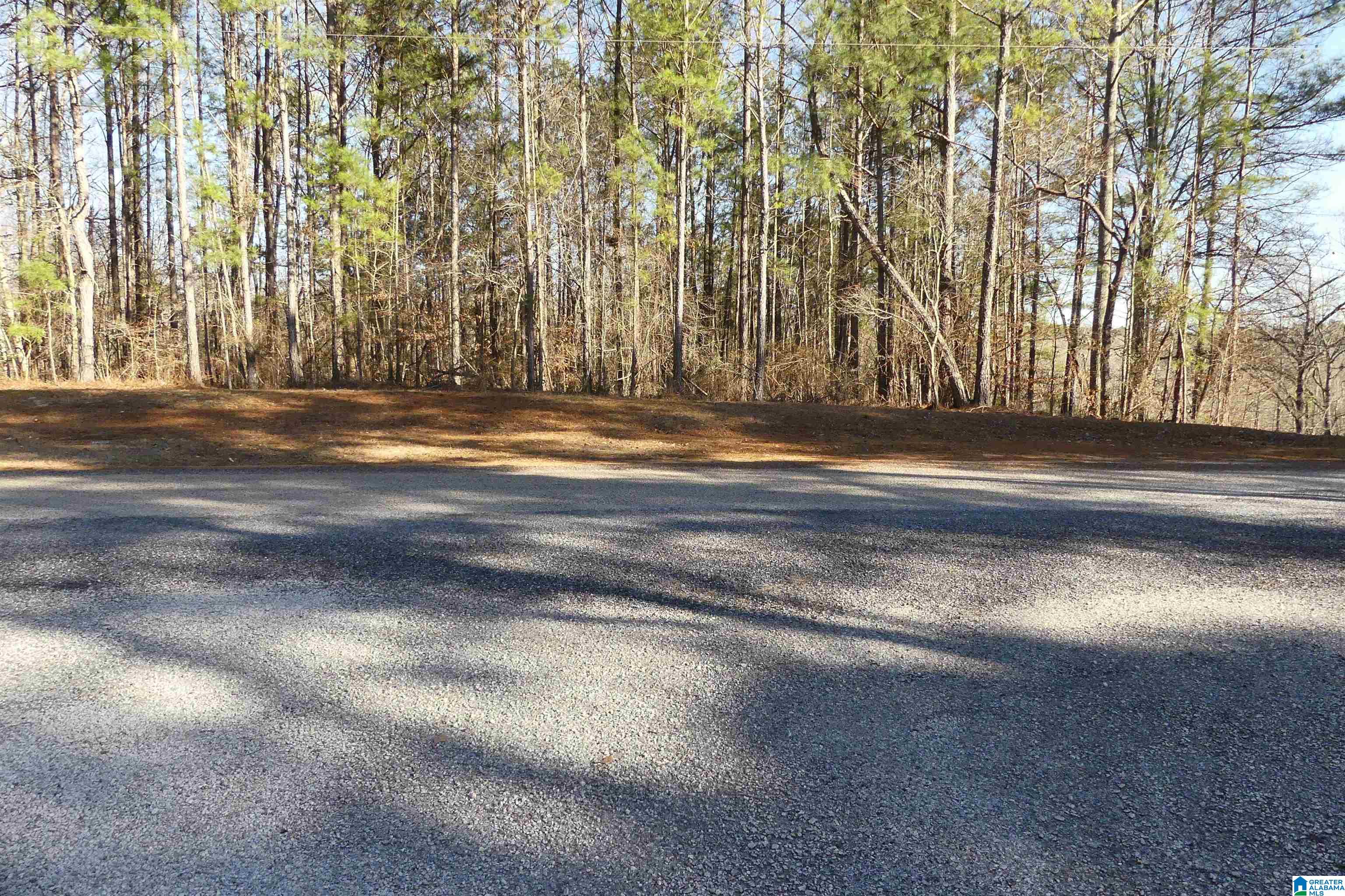 Lot # Memory Lane, Unit 4 Wedowee, AL 36278 - Photo 7 of 9