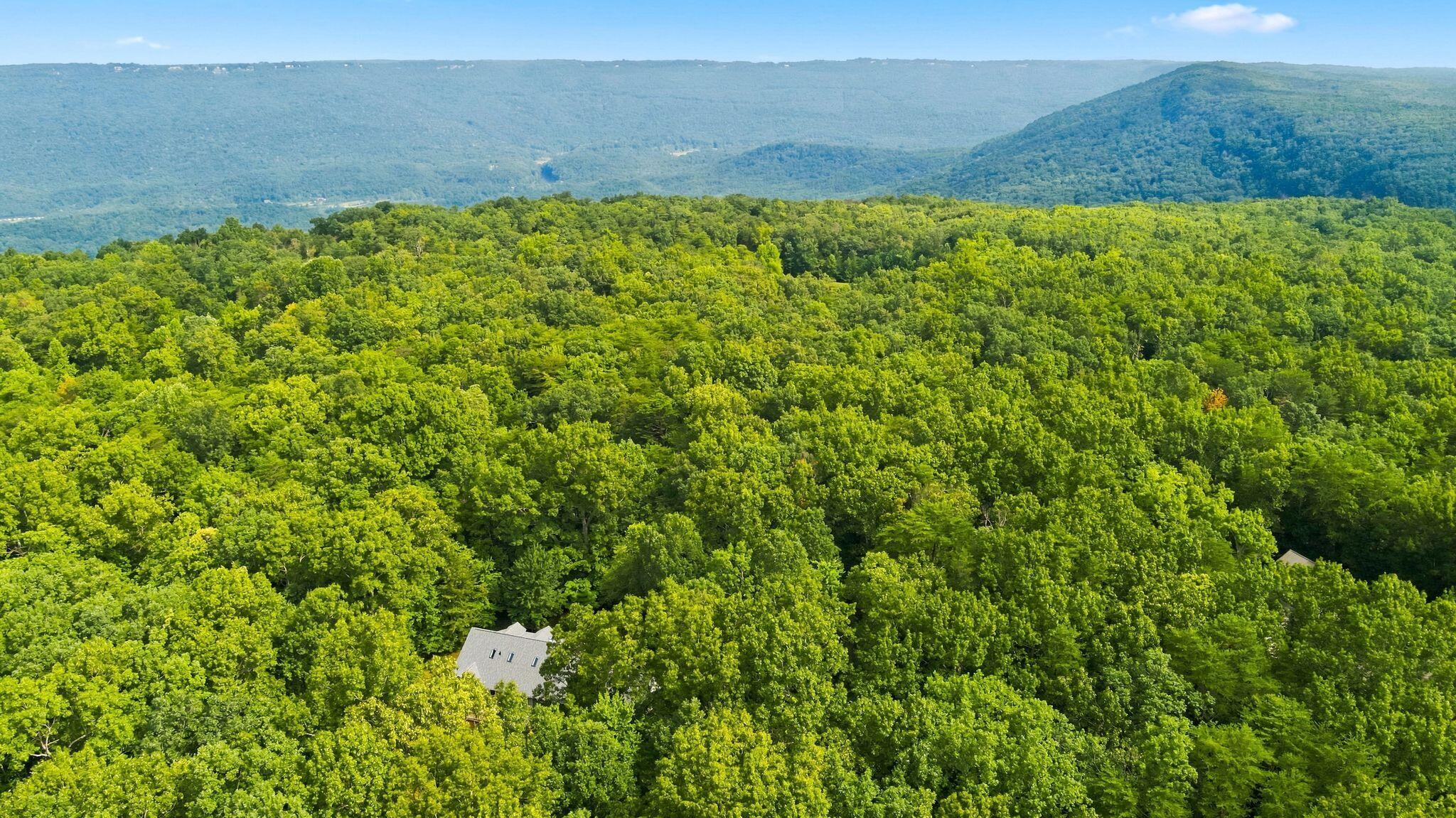 74 Mckaig Gulf Road Menlo, GA 30731 - Photo 63 of 71 rp2608071-1066
