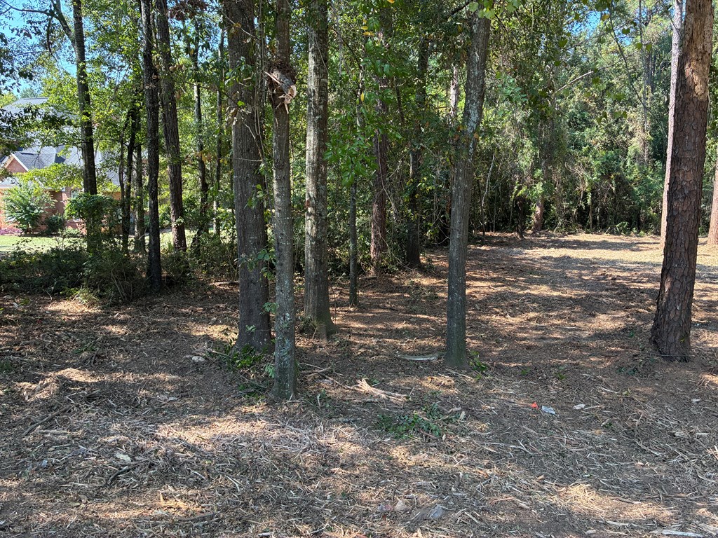 Lot 3 Hampton Way Dothan, AL 36305 - Photo 3 of 11