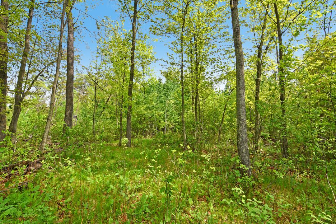Xxx Maplewood Drive Brainerd, MN 56401 - Photo 14 of 23