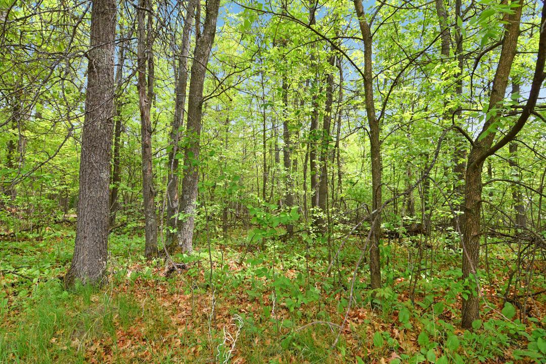 Xxx Maplewood Drive Brainerd, MN 56401 - Photo 7 of 23
