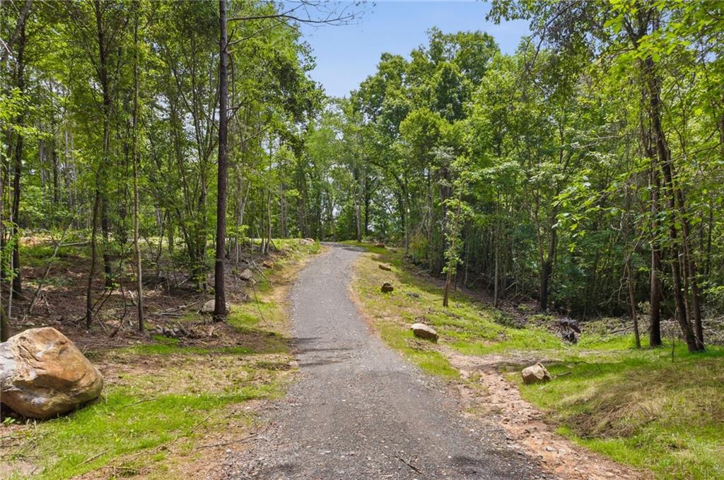Lot 1 Pete Path Dallas, GA 30157 - Photo 9 of 21