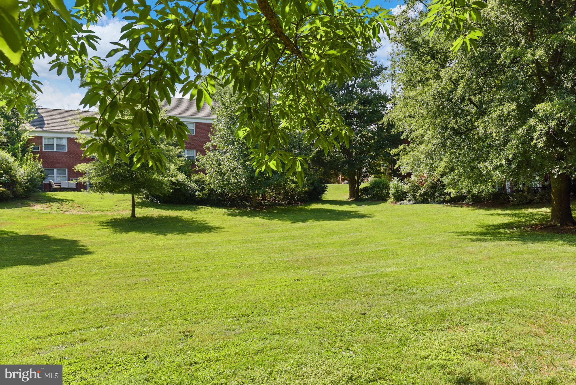 1744 Preston Road Alexandria, VA 22302 - Photo 32 of 32 Common grass area beyond private patio