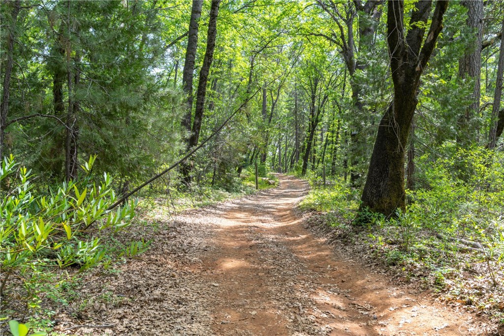 0 Scotty Ln. Lane Forest Ranch, CA 95942 - Photo 12 of 26