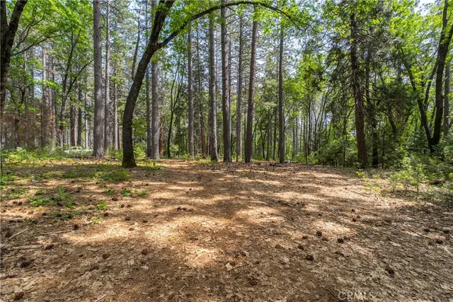 a view of outdoor space with trees