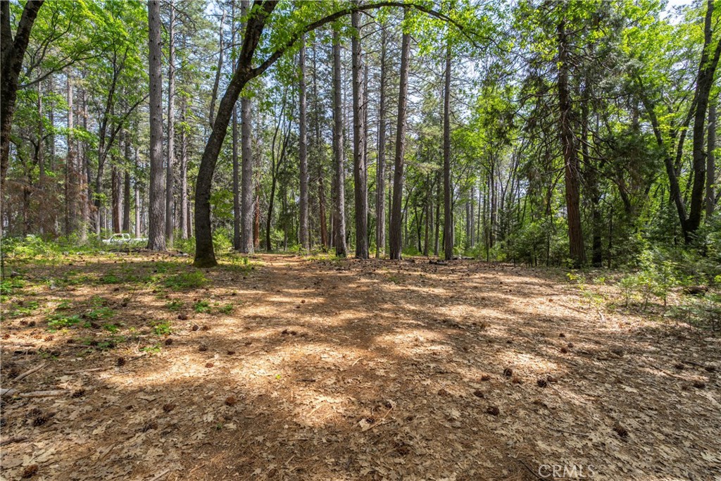 0 Scotty Ln. Lane Forest Ranch, CA 95942 - Photo 14 of 26