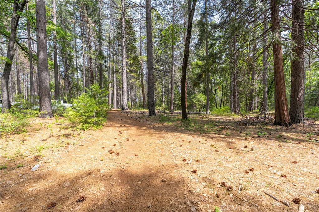 0 Scotty Ln. Lane Forest Ranch, CA 95942 - Photo 15 of 26