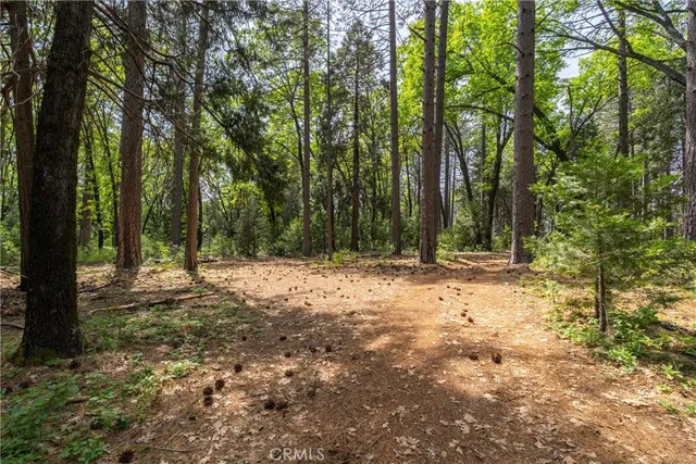 a view of outdoor space with trees