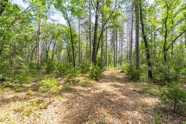a view of outdoor space and trees