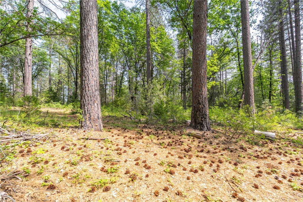 0 Scotty Ln. Lane Forest Ranch, CA 95942 - Photo 20 of 26