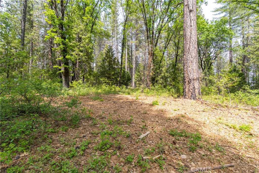 0 Scotty Ln. Lane Forest Ranch, CA 95942 - Photo 22 of 26