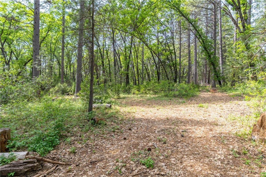 0 Scotty Ln. Lane Forest Ranch, CA 95942 - Photo 25 of 26