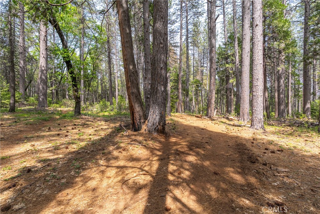 0 Scotty Ln. Lane Forest Ranch, CA 95942 - Photo 26 of 26